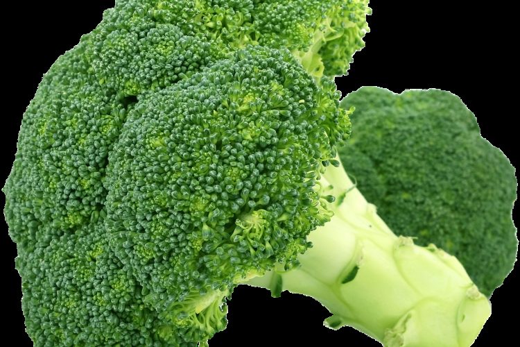broccoli, vegetables, healthy